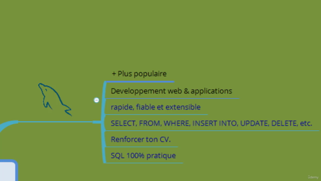MySQL depuis Zéro - Formation Complète de A à Z – Screenshot 1