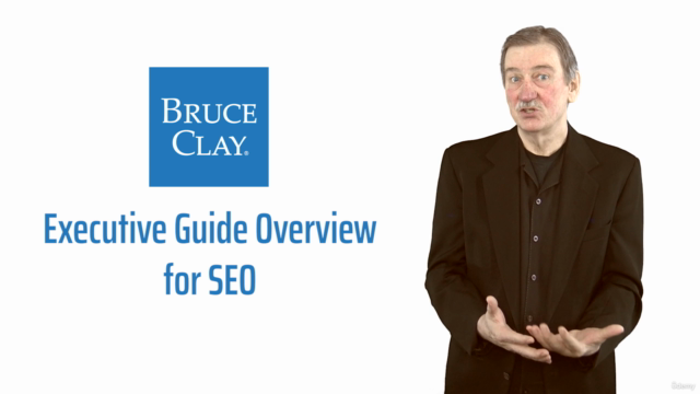 Executive Guide Overview for SEO - Screenshot_01