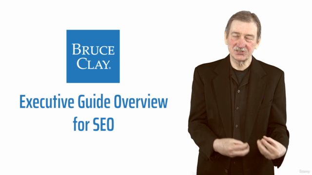 Executive Guide Overview for SEO - Screenshot_03