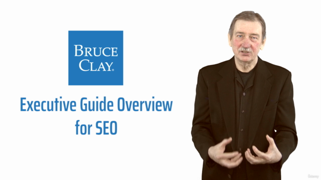 Executive Guide Overview for SEO - Screenshot_04