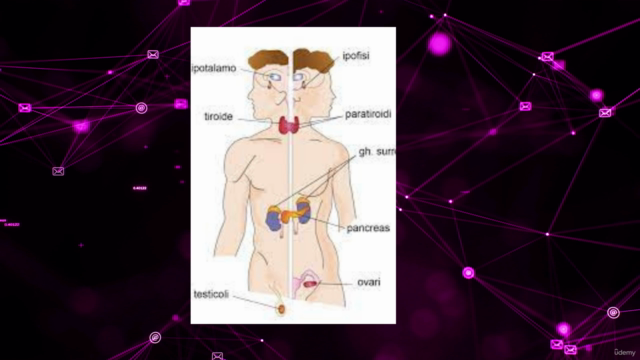 Reiki 3°livello e Reiki Masters – Screenshot 2