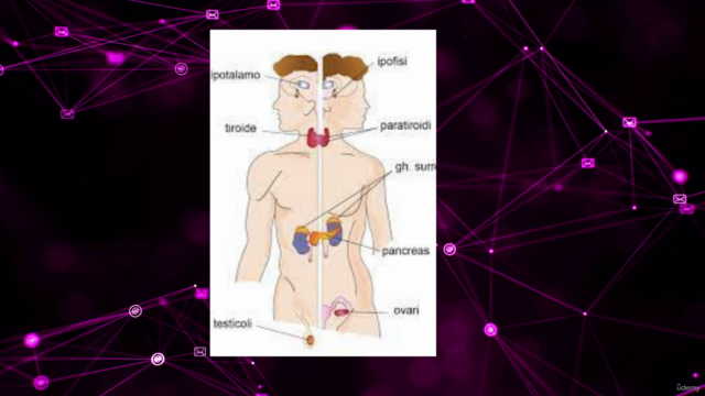 Reiki 3°livello e Reiki Masters – Screenshot 3