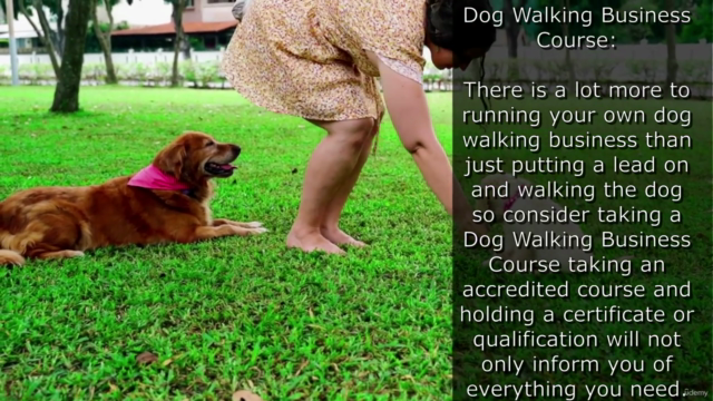Dog Walking Business The Perfect Guide for New Entrepreneurs – Screenshot 3