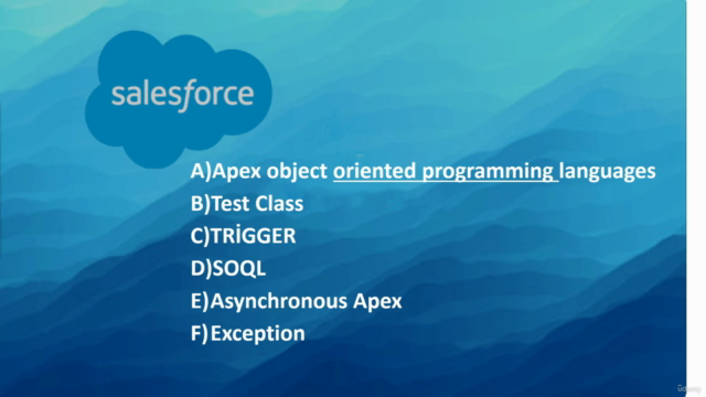 Salesforce Developer Bölümünü Türkçe Öğrenin – Screenshot 1