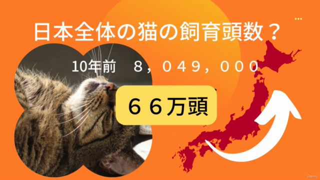お客様、お留守番猫ちゃん、シッターが三方よしを目指そう!猫専門ペットシッター養成講座~基本編~ – Screenshot 1