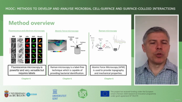 Colloid biology - Develop and analyse microbial interactions – Screenshot 3