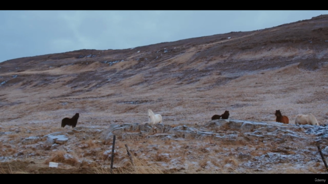 Transform Your Film Idea Into A Short Movie – Screenshot 1