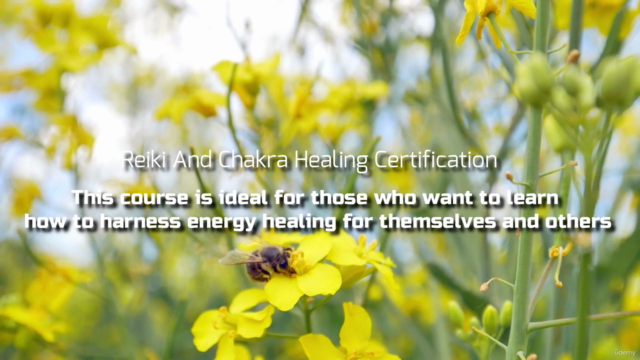2 Courses In 1: Reiki Energy & Chakra Healing Certification – Screenshot 2
