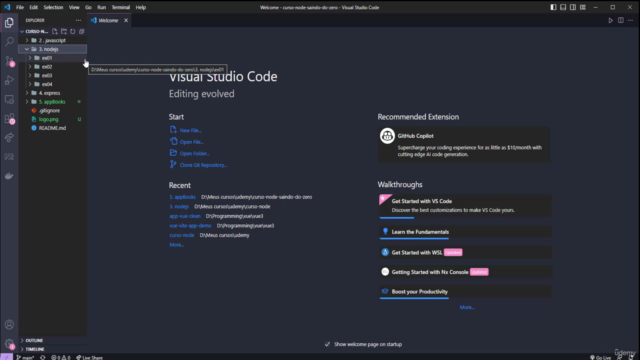 Desenvolvendo API RestFull com NodeJS: Aprenda na prática – Screenshot 2