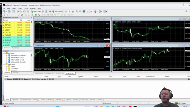MT4 Mastery: Operating the Trading Platform – Screenshot 4
