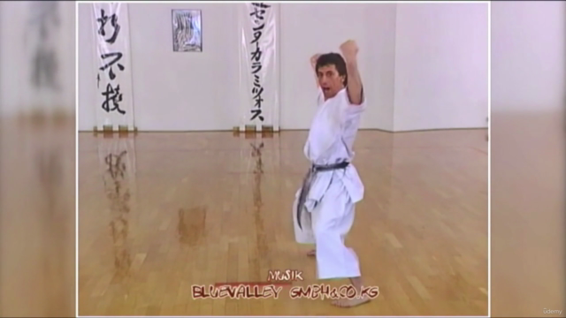 Alle 27 Shotokan Karate Kata  "Deutscher Karate Verband" - Screenshot_04