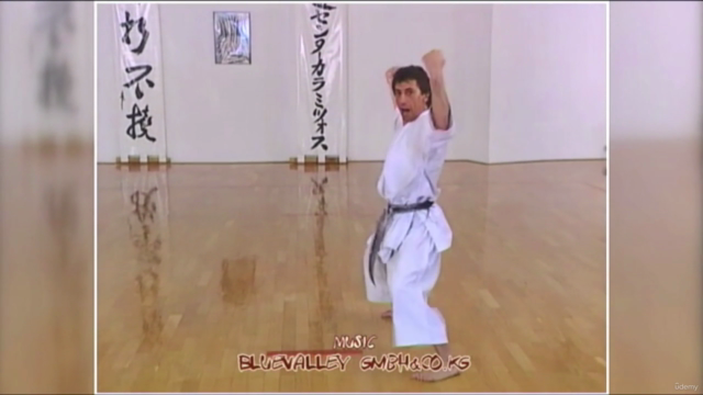 All 27 Shotokan Karate Kata - Screenshot_04