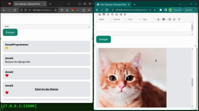 Développer une application de chat en temps réel avec Django - Screenshot_03