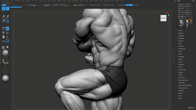 Advance Zbrush Bodybuilder Anatomy Tutorial – Screenshot 4