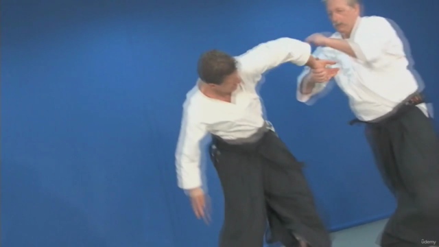 Aikido from A to Z Basic Techniques Vol.3 - Screenshot_02