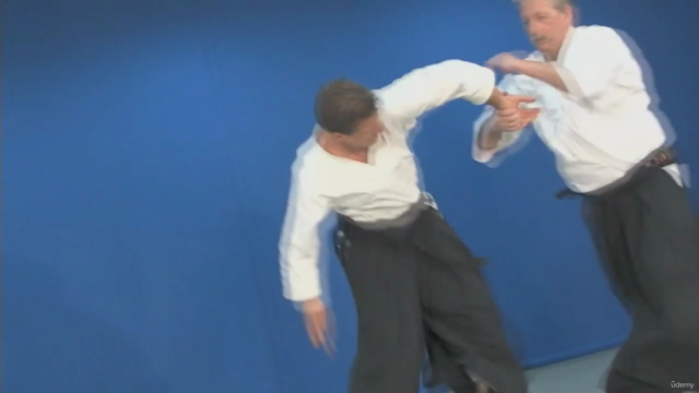 Aikido de A à Z Les techniques de base Vol.3 – Screenshot 2