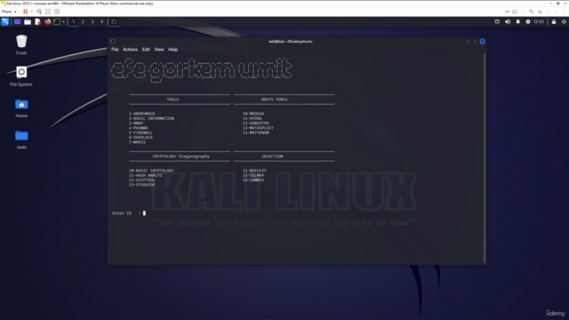 Uygulamalı Etik Hacker Kursu Pythonla Hacker Araçları - Screenshot_03