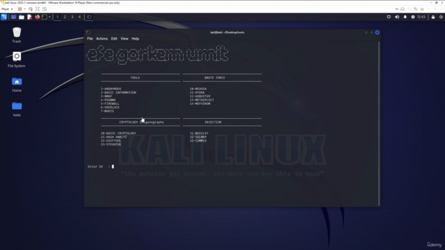 Uygulamalı Etik Hacker Kursu Pythonla Hacker Araçları – Screenshot 4