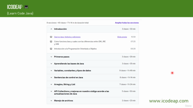 Programación en Java: Desde lo básico hasta lo avanzado – Screenshot 3