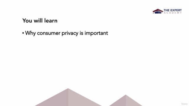 Consumer Privacy And Data Protection - Screenshot_01