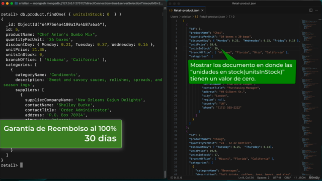 Guía completa MongoDB: Aprende desde Cero hasta Experto – Screenshot 1