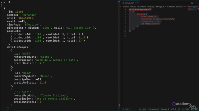 Guía completa MongoDB: Aprende desde Cero hasta Experto – Screenshot 4