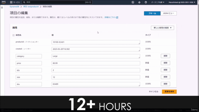 AWS認定Developer Associate(DVA-C02)試験 対策トレーニング – Screenshot 1
