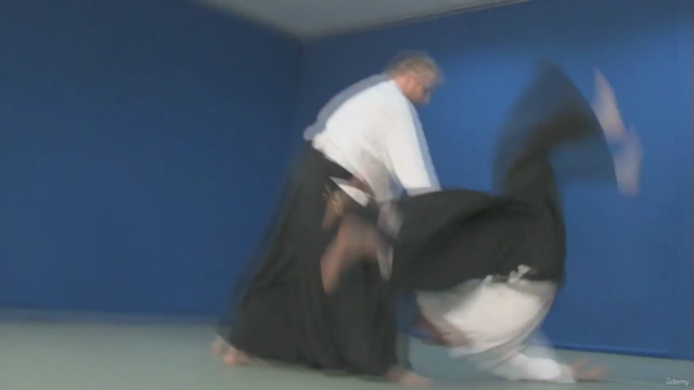 Aikido von A bis Z Grundtechniken Vol.4 - Screenshot_04