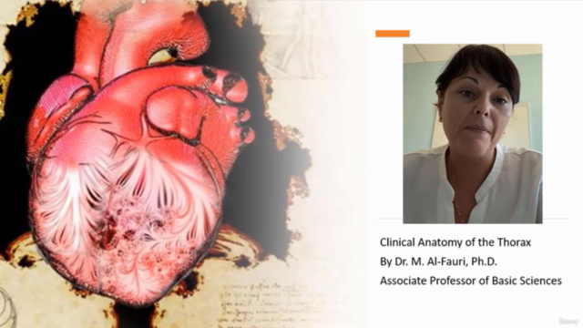 Clinical Anatomy of the Thorax – Screenshot 4