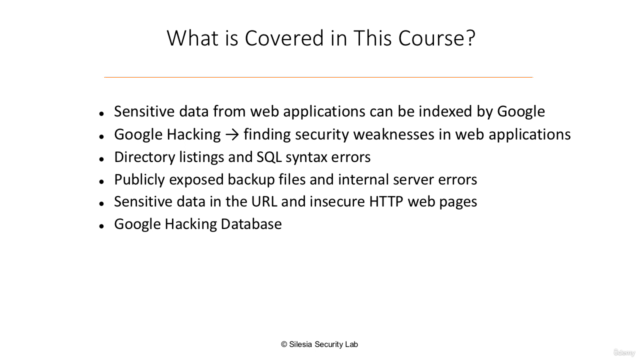 Web Application Security Testing with Google Hacking – Screenshot 3