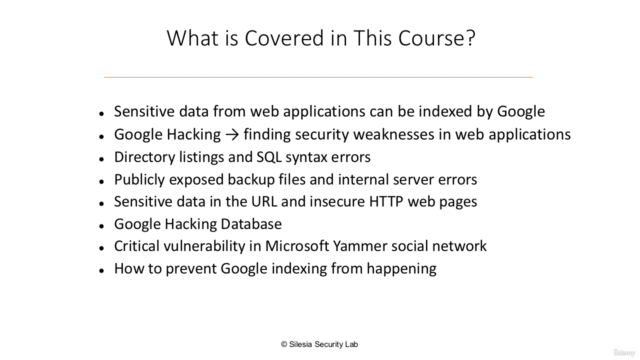 Web Application Security Testing with Google Hacking – Screenshot 4