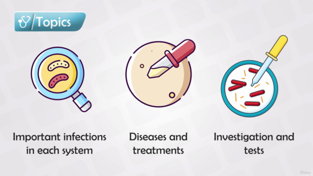 Microbiology Course - Bacteria, Antibiotics, and Diseases – Screenshot 1