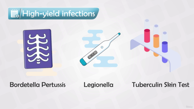 Microbiology Course - Bacteria, Antibiotics, and Diseases – Screenshot 3
