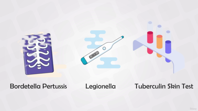 Microbiology Course - Bacteria, Antibiotics, and Diseases – Screenshot 4