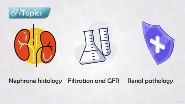 Nephrology Course - Anatomy, Physiology, Diseases & Drugs – Screenshot 1