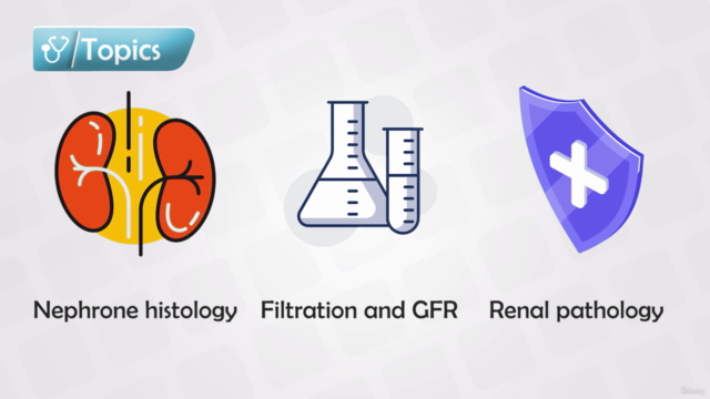 Nephrology Course - Anatomy, Physiology, Diseases & Drugs – Screenshot 2