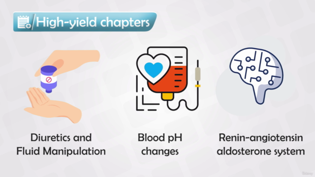 Nephrology Course - Anatomy, Physiology, Diseases & Drugs – Screenshot 3