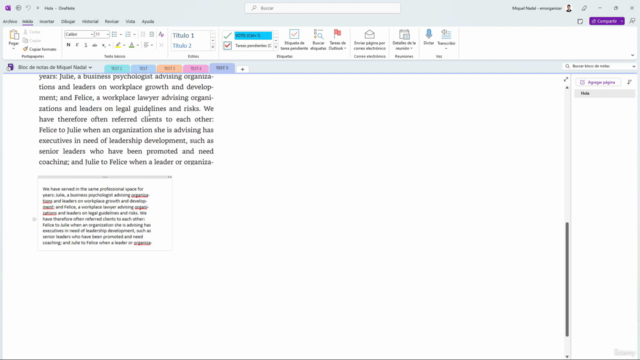 El Curso Definitivo para dominar Microsoft OneNote - Screenshot_04