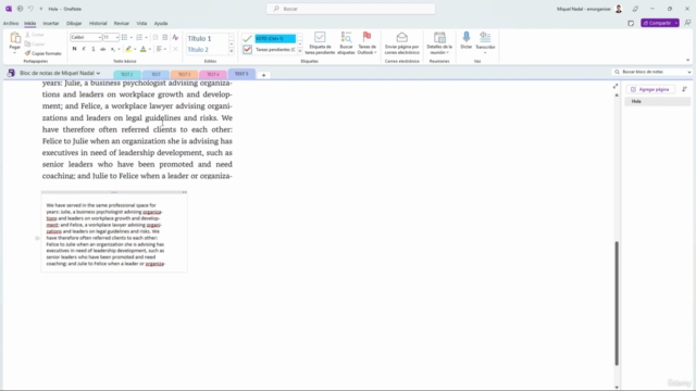 El Curso Definitivo para dominar Microsoft OneNote – Screenshot 4