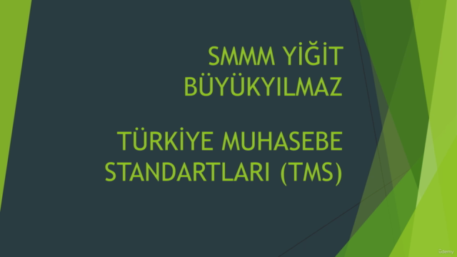 Sıfırdan İleri Seviye Türkiye Muhasebe Standartları(TMS) – Screenshot 1