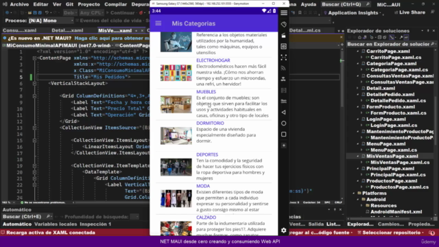 NET MAUI desde cero crear y consumir Web API (SQL Server) – Screenshot 1