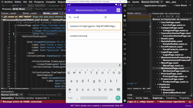 NET MAUI desde cero crear y consumir Web API (SQL Server) – Screenshot 2