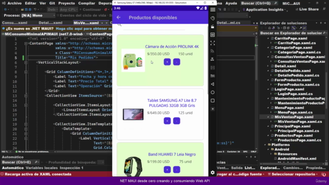 NET MAUI desde cero crear y consumir Web API (SQL Server) – Screenshot 3