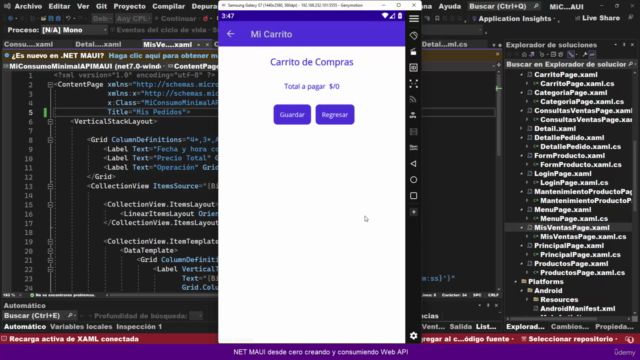 NET MAUI desde cero crear y consumir Web API (SQL Server) – Screenshot 4