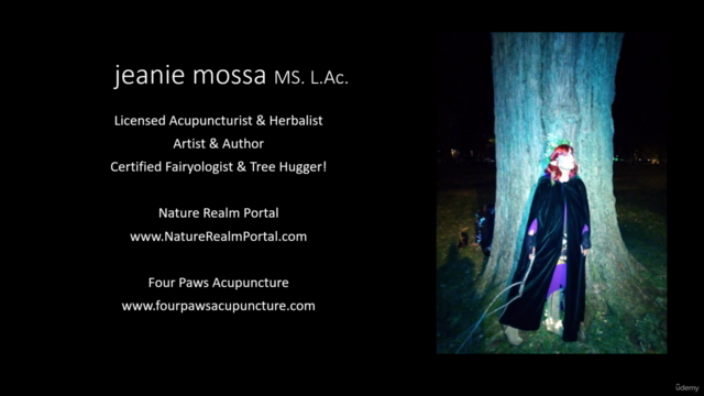 Forest Magic: The Healing Power of Trees & Woodland Spirits – Screenshot 1