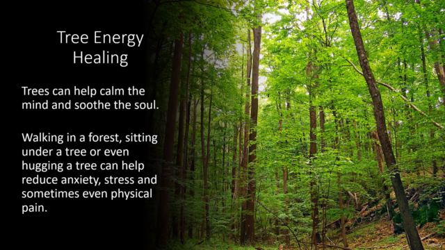Forest Magic: The Healing Power of Trees & Woodland Spirits – Screenshot 2