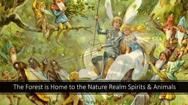 Forest Magic: The Healing Power of Trees & Woodland Spirits – Screenshot 4