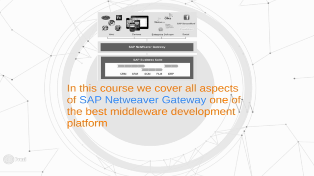 SAP® Netweaver Gateway - Basics, Architecture and CRUD oData – Screenshot 3