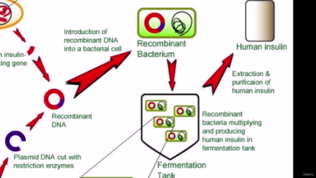 Biotechnology today and yesterday – Screenshot 2