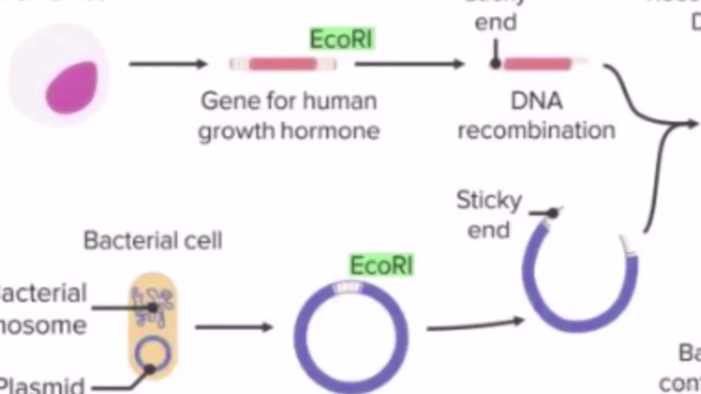 Biotechnology today and yesterday – Screenshot 3